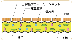 ファイバーマット（Ⅱ型）断面