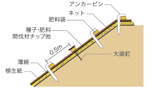 施行例