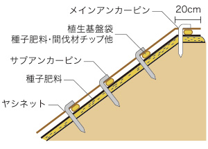 施行例