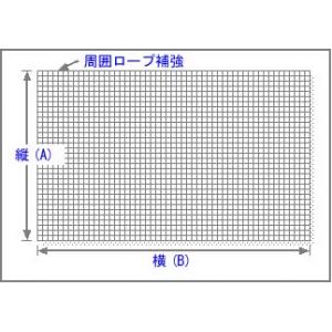 商品画像 防鳥(ハト、スズメ等)対策 | 丈夫なハト除け防鳥ネット 37.5mm角目　特注サイズ | 