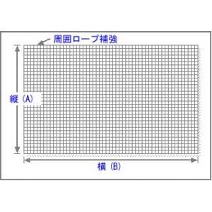 商品画像 多目的ネット | 多目的ネット(ゴルフネット) 25mm角目PE440dtex/36本 無結節 | 